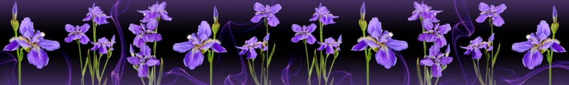 skinali 0778